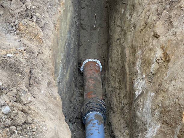 Best Basement water damage restoration  in Sidney, MT