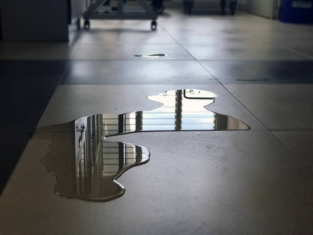 Best Water damage restoration services  in Sidney, MT
