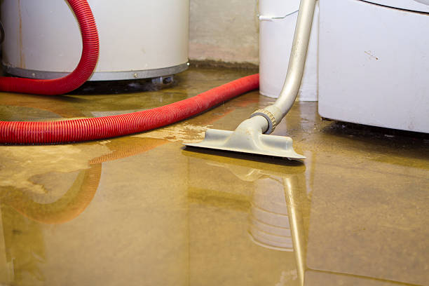 Best Residential water damage restoration  in Sidney, MT