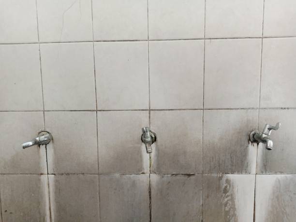 24/7 water damage repair in MT