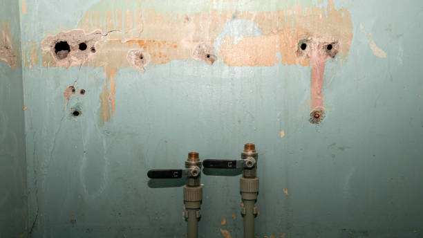 Best Ceiling water damage repair  in Sidney, MT