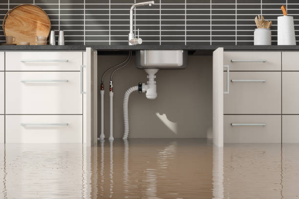 Best Water damage repair service  in Sidney, MT