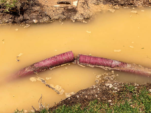 Best Commercial water damage restoration  in Sidney, MT