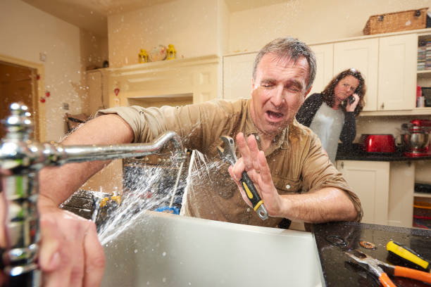 Best Flooded house restoration  in Sidney, MT